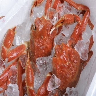  특A급 러시아 자숙 대게 찜 박달대게 선주 산지직송 3kg(2-3미)