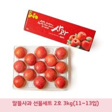 [알뜰] 저탄소 gap인증 사과세트2호 3kg(11~12입)/BFK