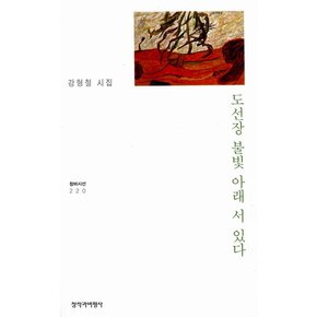 도선장 불빛 아래 서 있다 (창비시선 220)