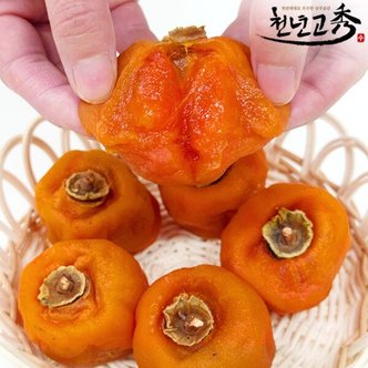 신세계라이브쇼핑 [천년고수] 상주곶감 반건시 10과(70g-75g/700g)