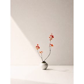 [Still Green] Red Branch Moon Jar - 붉은 가지 달항아리 조화 오브제