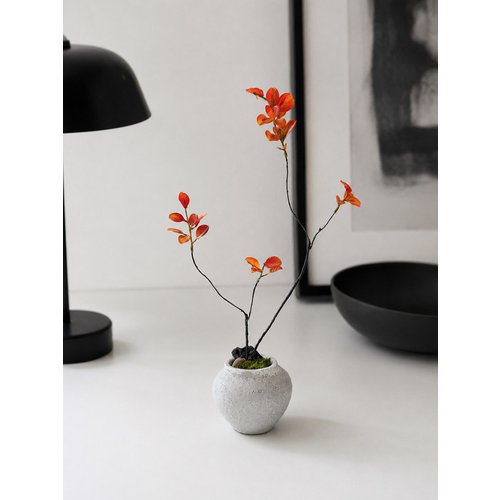 Add Image 6