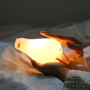 (시크릿상품) LED 무드등 철푸덕