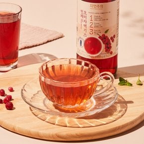 인제오미자엑기스 570g