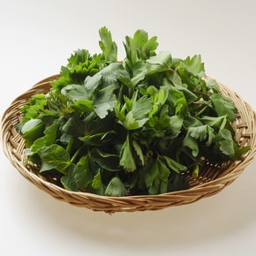 국산 제철 봄나물 (국내산 방풍나물 1kg)