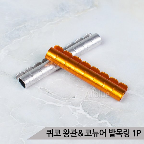 확대된 대표 이미지1