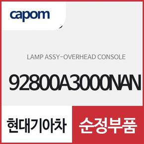 오버헤드 콘솔 램프 (92800A3000NAN) 레이