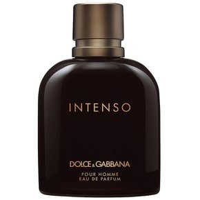 Dolce&Gabbana 돌체앤가바나 뿌르 옴므 인텐소 오 드 퍼퓸 125ml