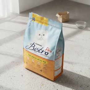 비스트로 프로 고양이 사료 6kg 300g 20개입
