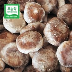 두메골 영양 무농약 버섯 착한 송이 500g 중품