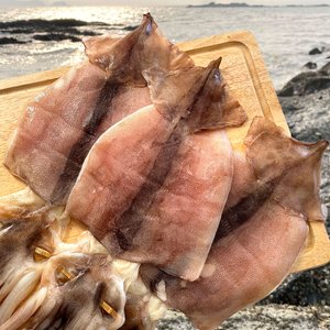  바다어보 국산 반건조오징어 10마리(대) / 동해안 피데기오징어