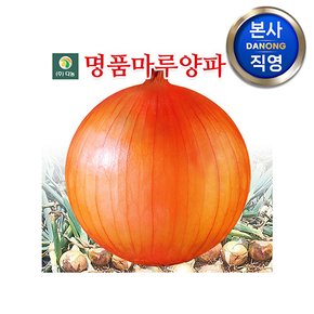 명품마루 양파 씨앗 100g . 중만생종 저장양파 씨 종자