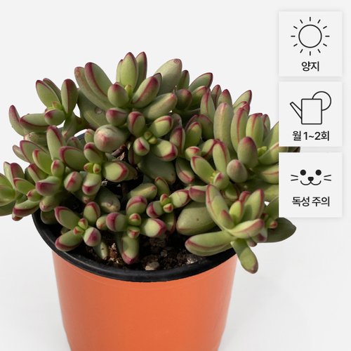 상품이미지3