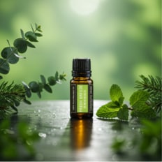  레노포프 프레쉬브리즈 천연 블랜딩 아로마 에센셜 오일 비염 호흡개선 코막힘