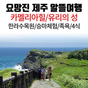 제주 김포/청주/부산/대구출발 요망진 제주 알뜰여행 - 카멜리아힐/족욕/식사4식/관광호텔