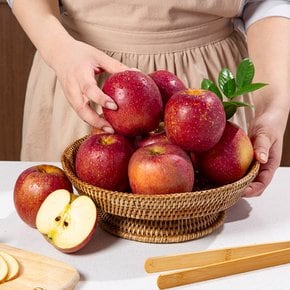 [더조은] 경북 알뜰 감홍 사과 4kg 26-33과