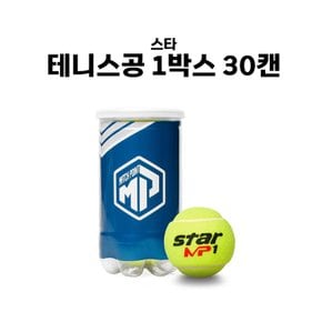 스타 테니스공 매치 포인트 TB172 테니스공 1박스 30캔