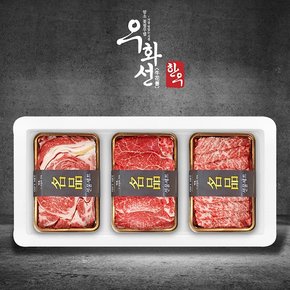 특선 숙성한우 1+등급 꽃등심 구이 선물세트 3호 (꽃등심+안심+특수부위/팩당400g/총1.2kg)냉장