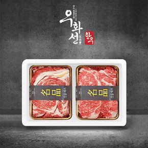 특선 숙성한우 1+등급 로스세트 2호(꽃등심+채끝 각 500g/총 1kg)