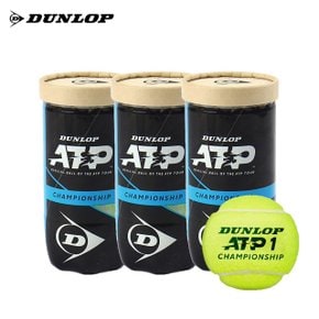 ATP 챔피언쉽 캔볼 테니스공 시합구 3캔 6입