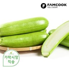 팸쿡 가락시장직송 애호박 10개