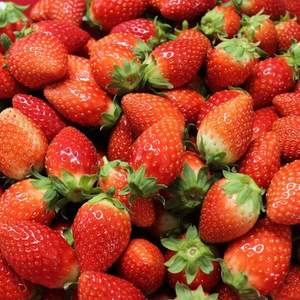 자연섬김 제철 딸기 1kg [500gx2팩/3x4~3x5] (H2K)