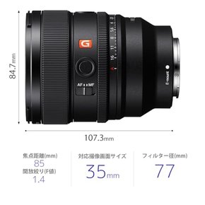 FE 85mm F1.4 GM G Master SEL85F14GM2 SONY(소니) 망원 단초점 렌즈 풀 사이즈 Ⅱ 디지털 일안