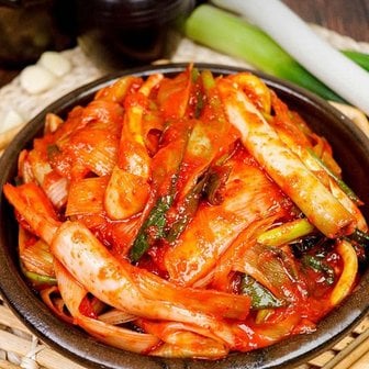 쇼핑의고수 [무료배송]아삭 매콤 별미 대파김치 3kg