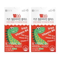 키즈 어린이 철분제 철분 초등학생 아이 분말 가루 철분영양제 2개