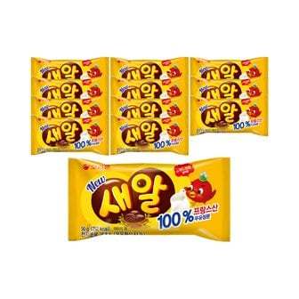 너만아는과자점 오리온 새알 초콜릿 50g x 12개