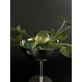 아이비 (Hedera helix) & 필레아페페 (Pilea peperomioides) 스테인레스 고블렛