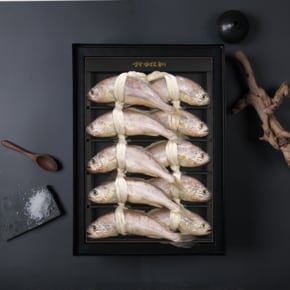 [산지직송] 영광 법성포굴비 5호(1.3kg/10미/22~23cm)