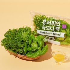 팜에이트 무농약 유러피안 하모니팩 (드레싱 증정)