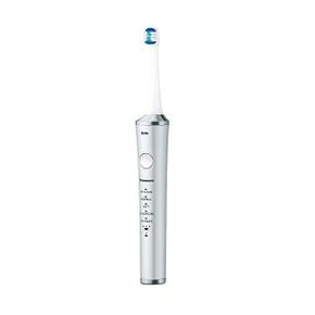 일본 파나소닉 전동칫솔 Panasonic EWCDP53S Doltz Electric Toothbrush Silver 1450850