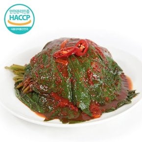 HACCP인증 전라도 국내산 깻잎김치 5kg