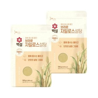 CJ제일제당 백설 브라운 자일로스 설탕 500g x2개