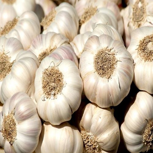 상품 이미지 1