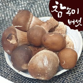 [산지직송] 국내산 참송이버섯 1kg (상/못난이 랜덤)