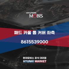 패드 카울 톱 커버 좌측 (8615539000)