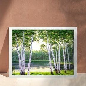 골피아 DIY 그림그리기 유화세트 40 x 50 cm, 자작나무 숲