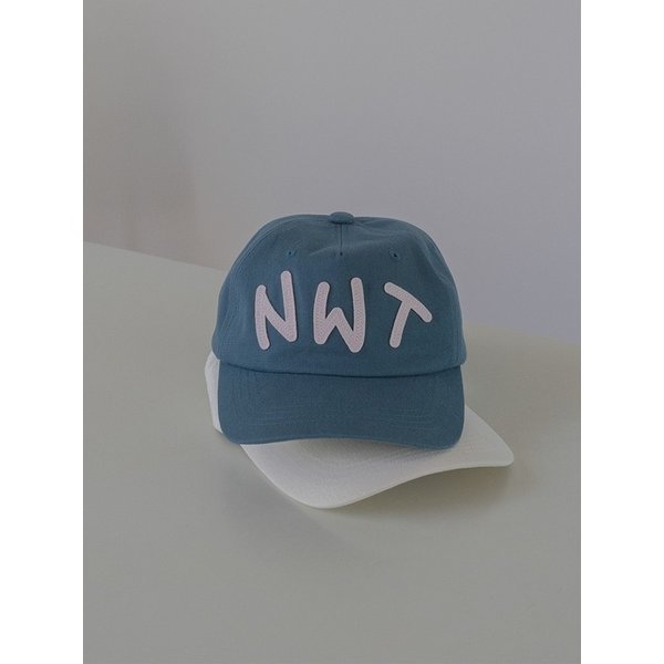 Nice Walk Today Ballcap_Green