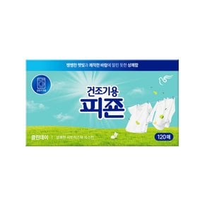 건조기용피죤 실내건조 클린데이 120매
