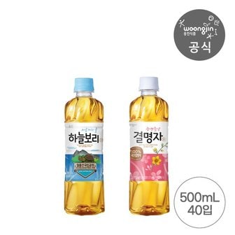 웅진식품 베스트 차음료 묶음 하늘보리 500ml 20펫+결명자차 500ml 20펫