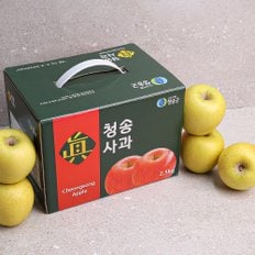 장수상회 [오늘신선] 청송네자매 경북 청송 시나노골드 사과 선물세트 2.5kg 중대과(5-7과 내외)