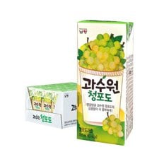 남양 과수원 청포도 190ml 24개입 1+1 총48개입 (임박25.2.28일까지)