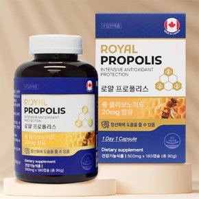 로얄 프로폴리스 플라보노이드 500mg x180캡슐