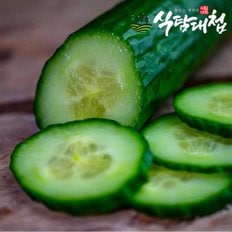 식탐대첩 국내산 남도 취청오이 1kg 3-5개