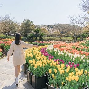 [제주] 메이즈랜드