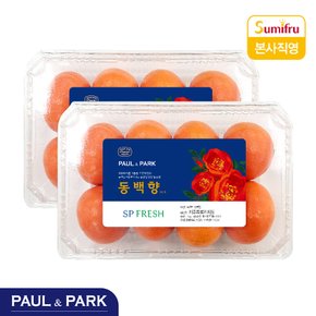 동백향 1kg 2팩 (10개~20개) (총 2kg)