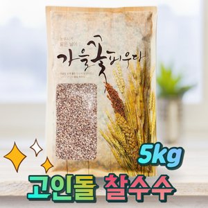고인돌 국내산찰수수 수수쌀 찰수수 5kg